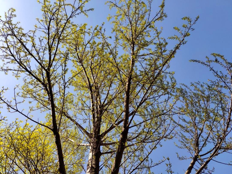 雨生百谷配圖1.png 雨生百谷配圖1.png