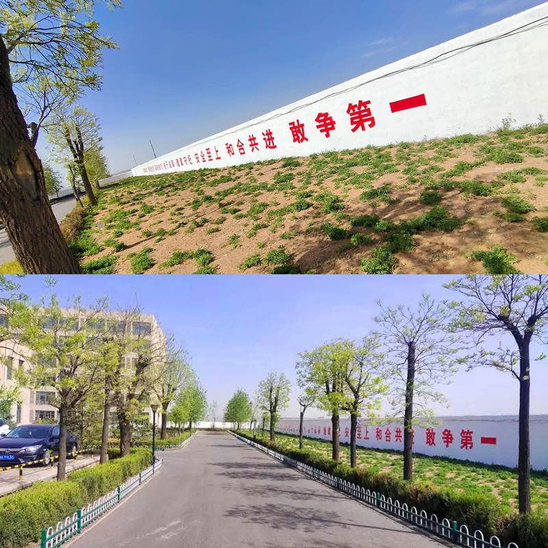 神木秀美-配圖2.png 神木秀美-配圖2.png