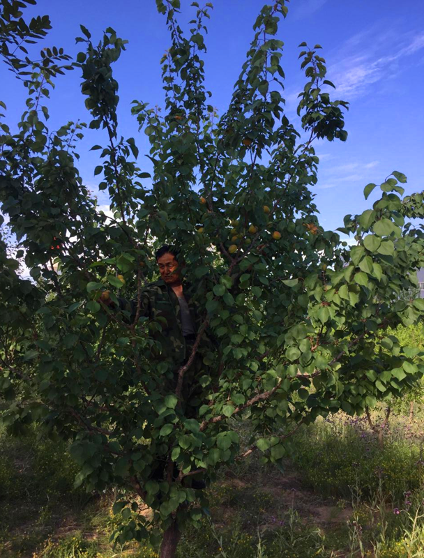 圖片 2.png 圖片 2.png