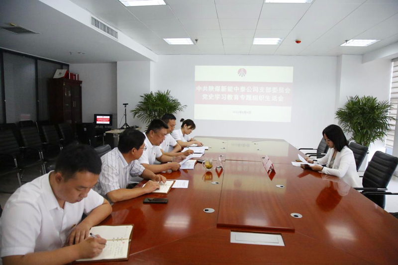 中泰公司黨支部召開(kāi)黨史學(xué)習(xí)教育專(zhuān)題組織生活會(huì)