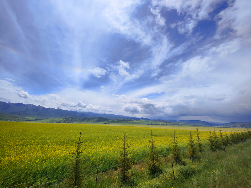 圖片 25.png 圖片 25.png