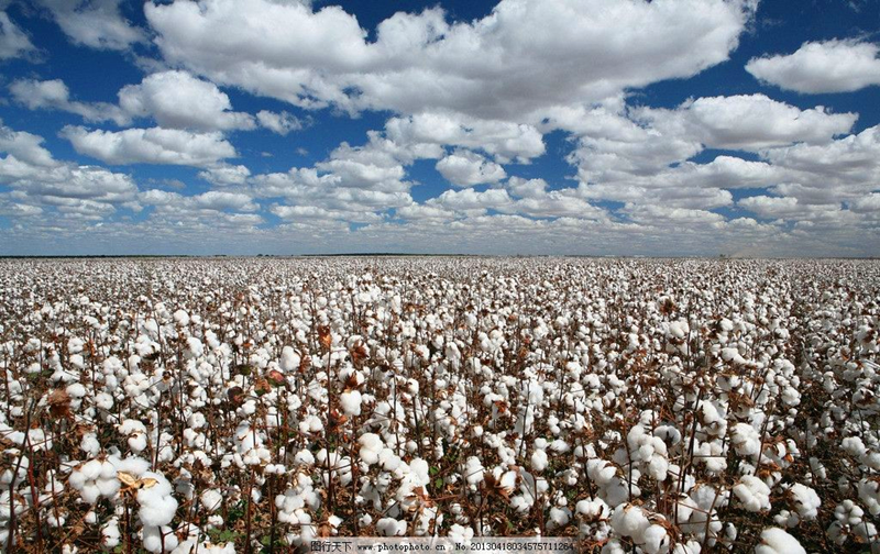 圖片 4.png 圖片 4.png