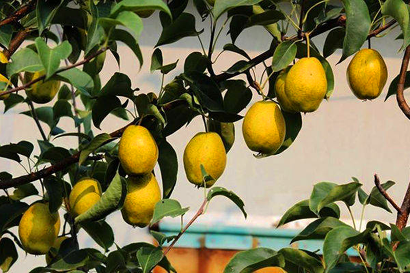 圖片 6.png 圖片 6.png