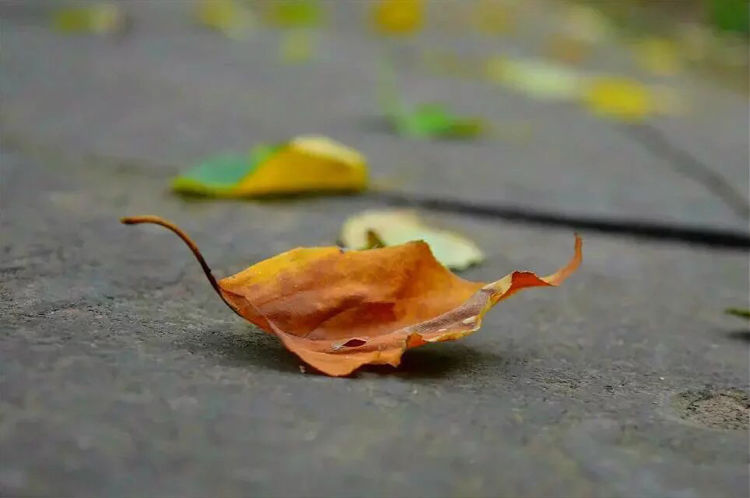 圖片1.png 圖片1.png