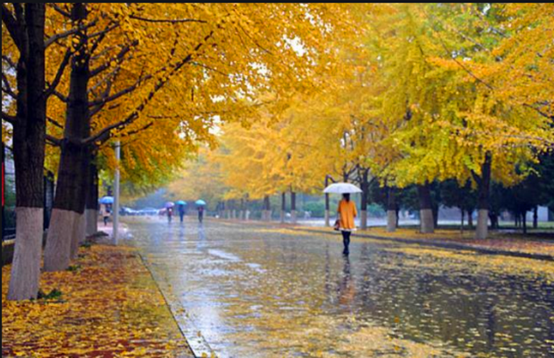 圖片 4.png 圖片 4.png