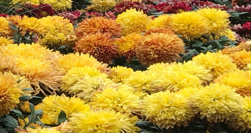 圖片 2.png 圖片 2.png