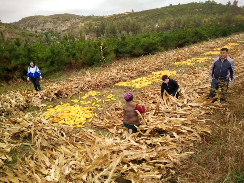 圖片1.png 圖片1.png