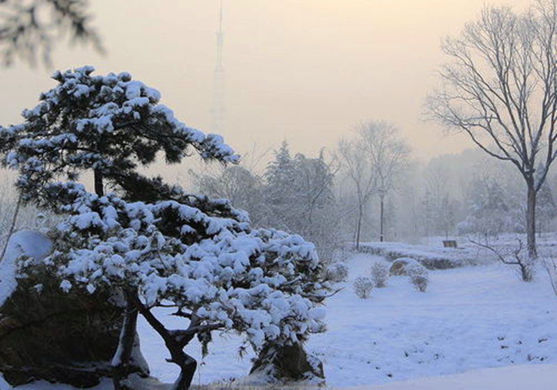 圖片1.png 圖片1.png