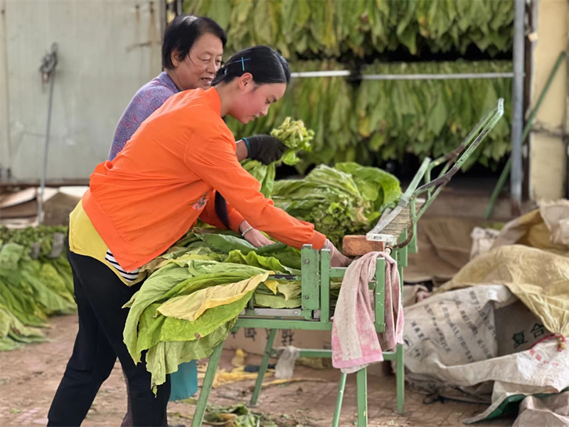 儲能助力 答好生態“烤”卷-2.png 儲能助力 答好生態“烤”卷-2.png