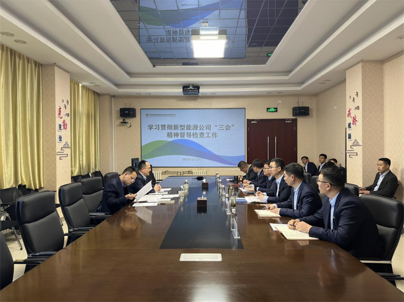 新型能源公司“三會”精神工作督導2.png