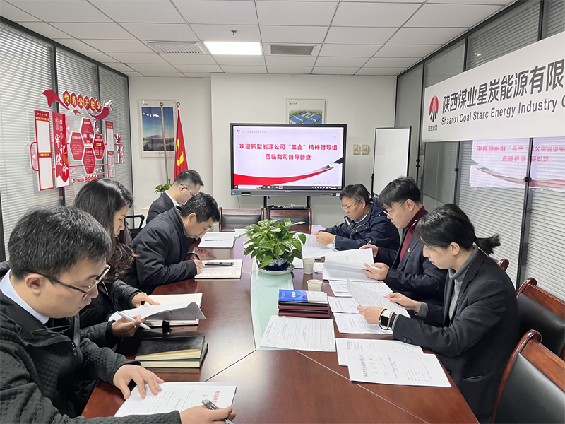 新型能源公司“三會”精神工作督導5.png 新型能源公司“三會”精神工作督導5.png