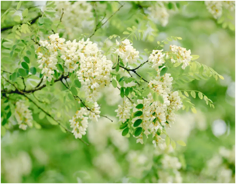 微信圖片_20230529231314.png 微信圖片_20230529231314.png