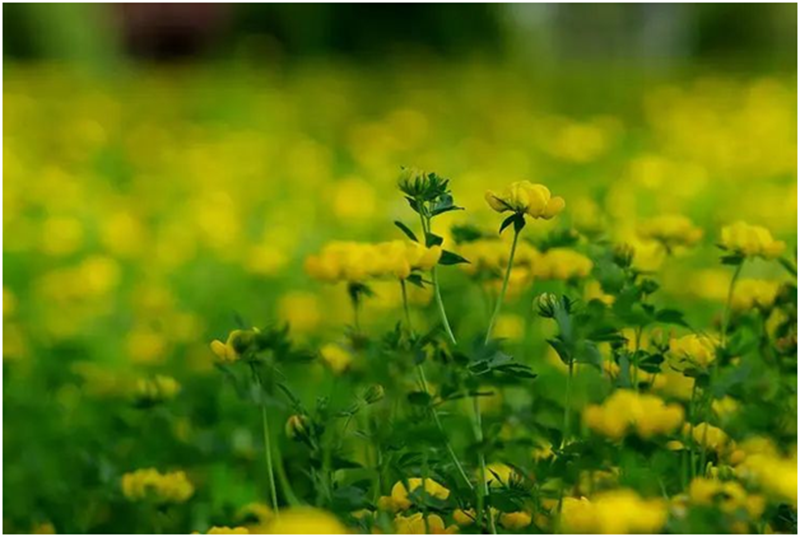 微信圖片_20230529231320.png 微信圖片_20230529231320.png