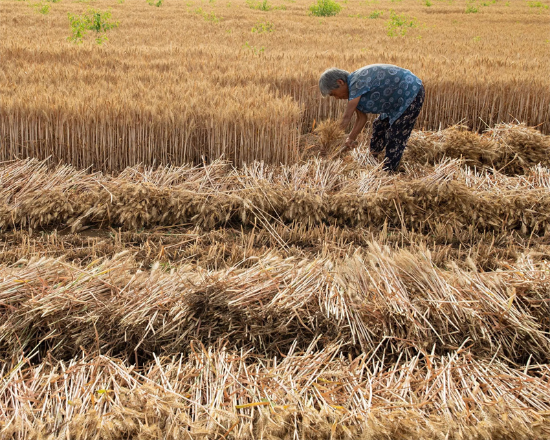 圖片2.png 圖片2.png