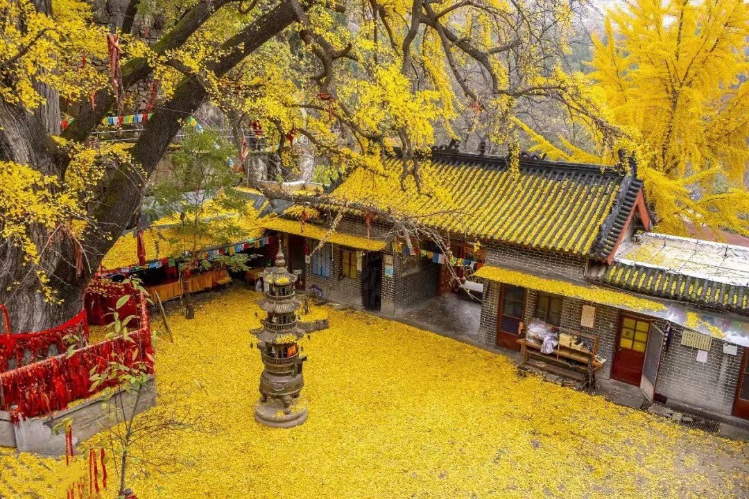 微信圖片_20230919173103.jpg 微信圖片_20230919173103.jpg