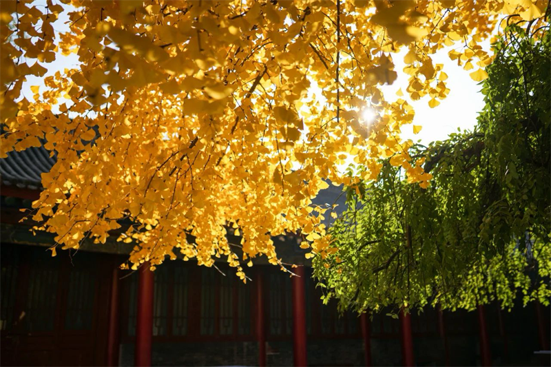 微信圖片_20231130154024.png 微信圖片_20231130154024.png