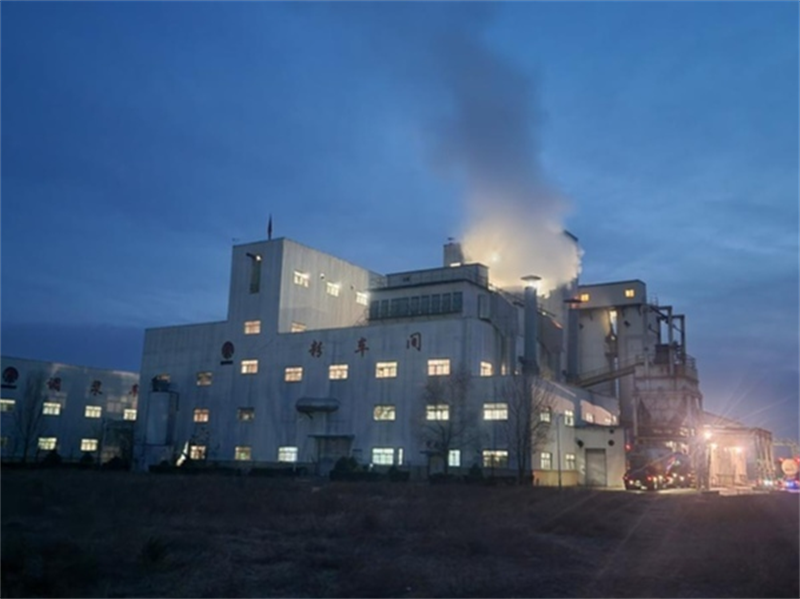 寒夜下那美麗的身影1.png 寒夜下那美麗的身影1.png