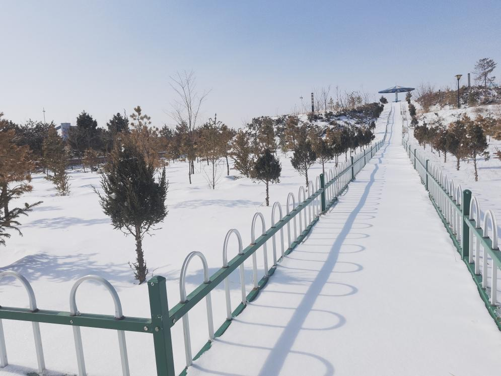 圖片3.png 圖片3.png