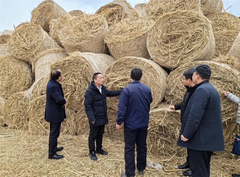 生物質公司到多地開展生物質項目調研2.png 生物質公司到多地開展生物質項目調研2.png