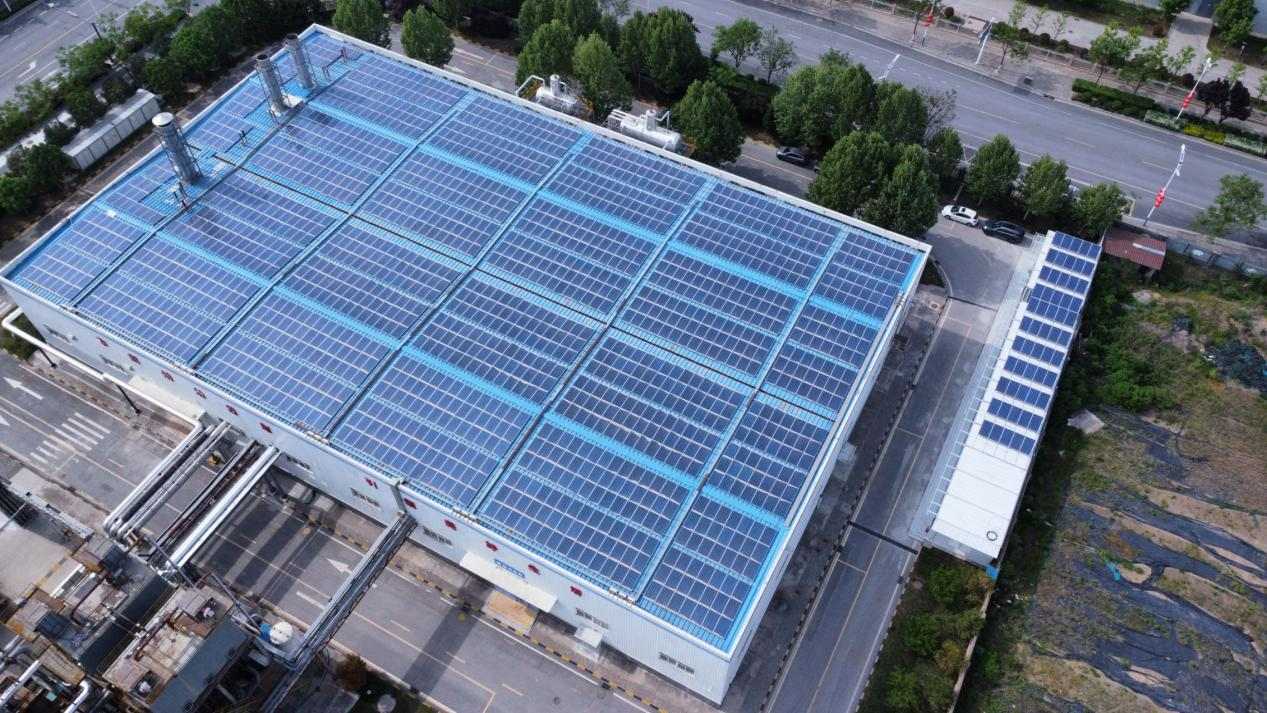 圖片1.png 圖片1.png