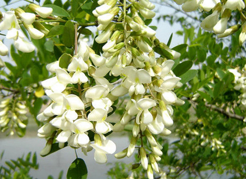 圖片6.png 圖片6.png