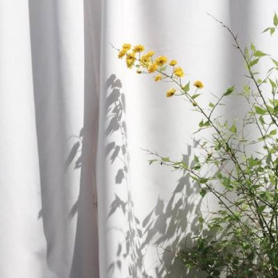 圖片5.png 圖片5.png